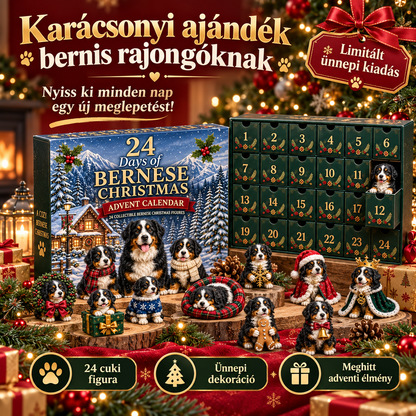Billhol® Berni pásztorkutya adventi naptár 2026 🐶🎄 – 24 napos karácsonyi meglepetés kutyabarátoknak